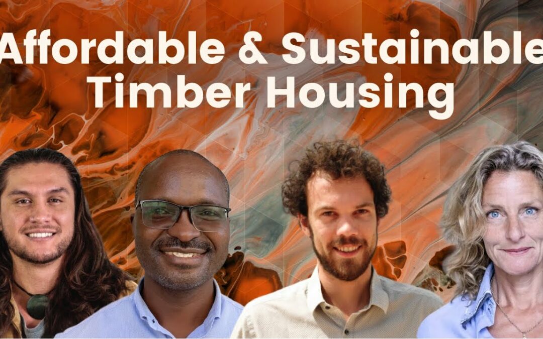 Affordable and Sustainable Timber Housing in Mozambique w/ Easy Housing and Casa Real